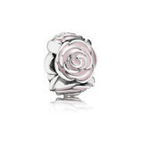 Rosa Rosen-Charm
