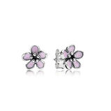 Pinke Kirschblüten Ohrstecker, Silber